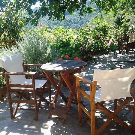 Villa Panayiota Alonnisos Town Екстер'єр фото