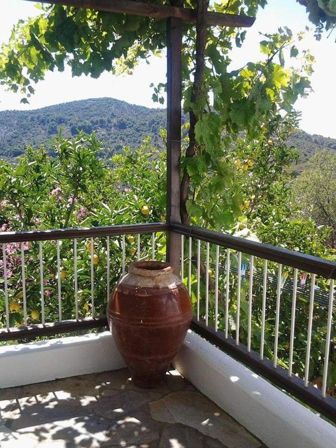 Villa Panayiota Alonnisos Town Екстер'єр фото