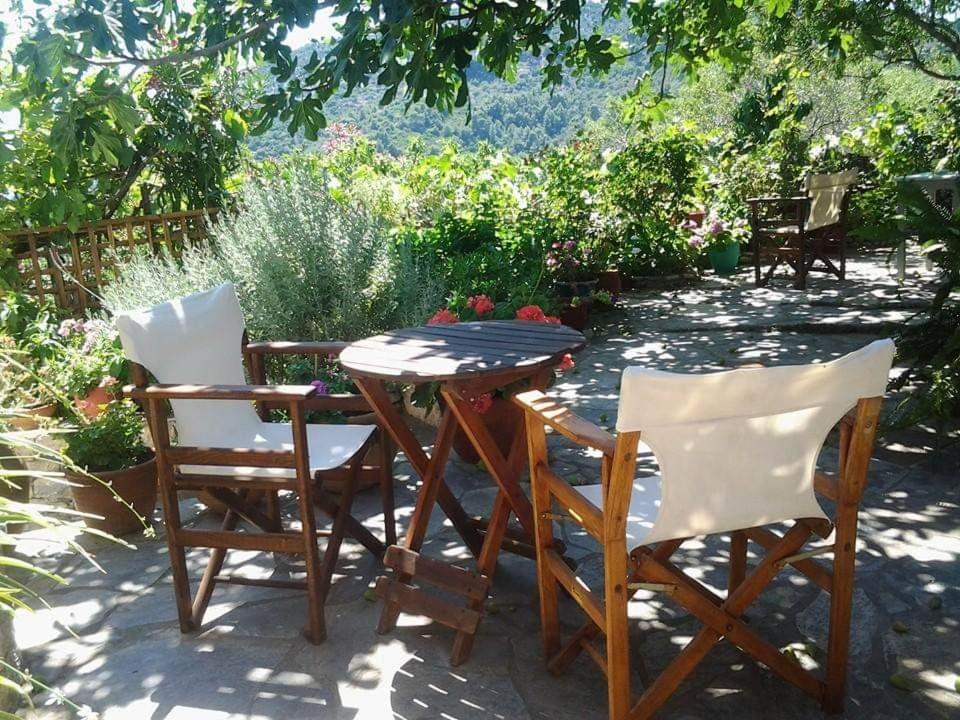 Villa Panayiota Alonnisos Town Екстер'єр фото