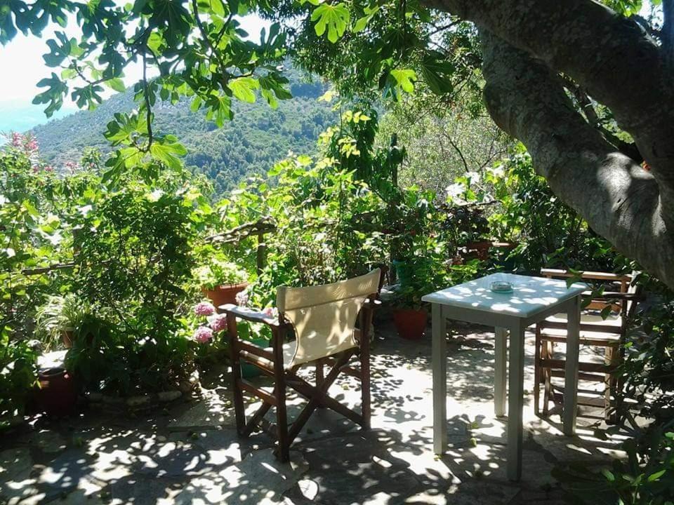 Villa Panayiota Alonnisos Town Екстер'єр фото