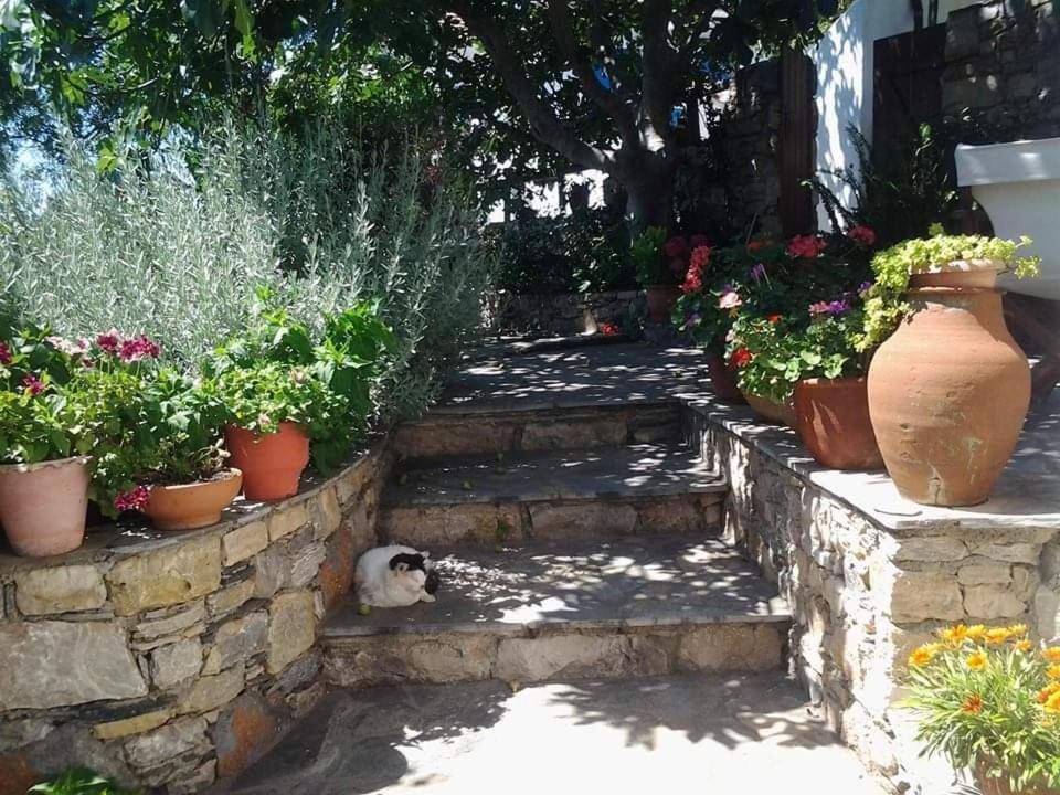 Villa Panayiota Alonnisos Town Екстер'єр фото