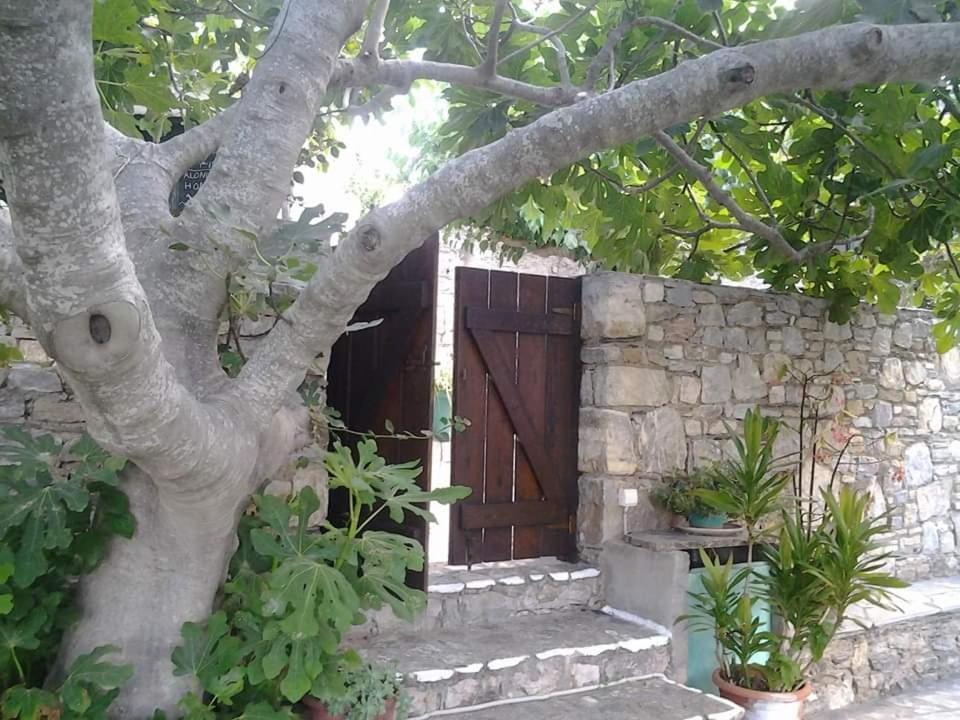 Villa Panayiota Alonnisos Town Екстер'єр фото