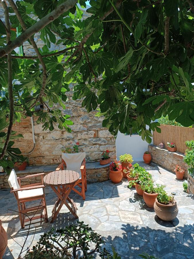 Villa Panayiota Alonnisos Town Екстер'єр фото